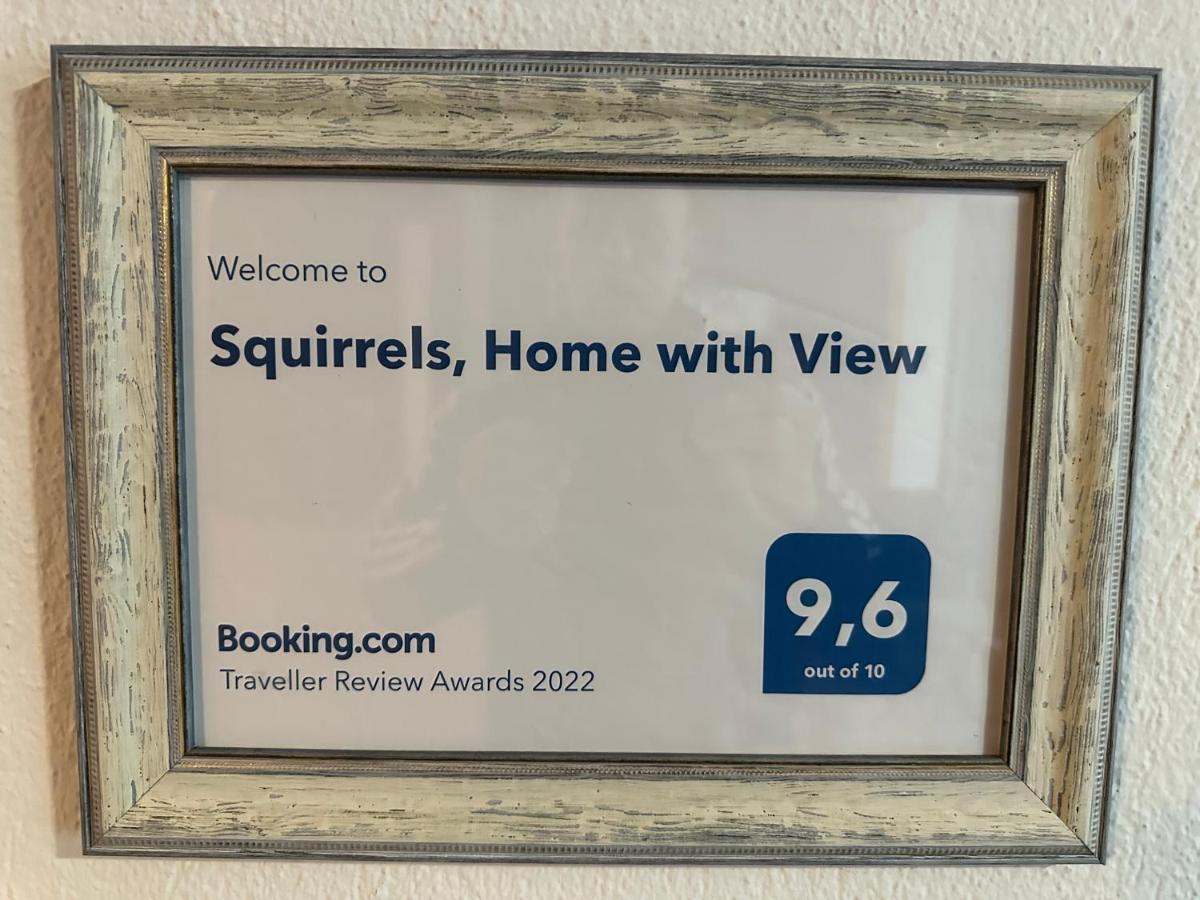 Squirrels, Home With View ميتامورفوسي المظهر الخارجي الصورة