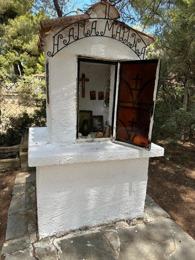 Squirrels, Home With View ميتامورفوسي المظهر الخارجي الصورة